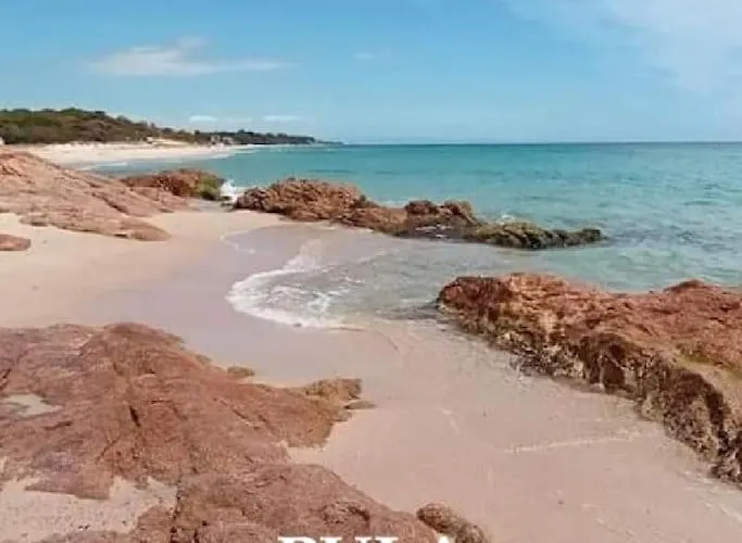 Apartment Norace House